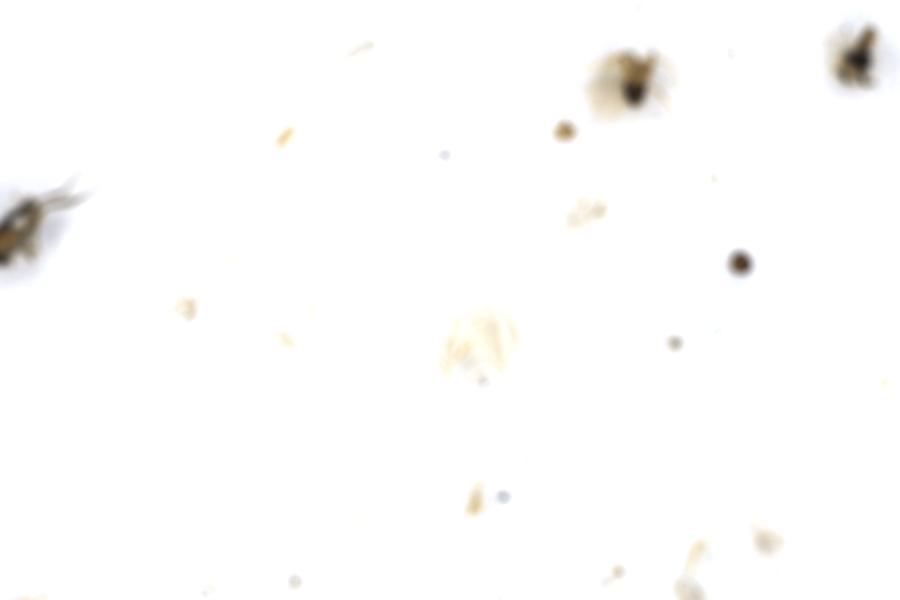 Image 71
